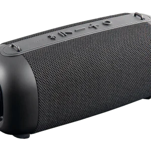 PEAQ Enceinte portable FM/DAB+ Noir (PPA 405)