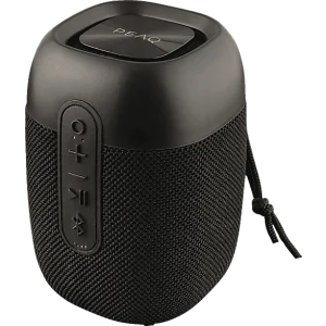 PEAQ Enceinte portable Noir (PPA 205)